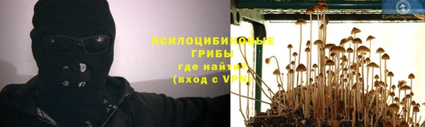 мдпв Иннополис