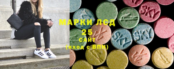 гидра Слюдянка