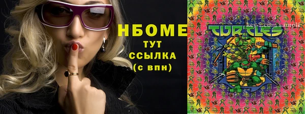 2c-b Снежногорск