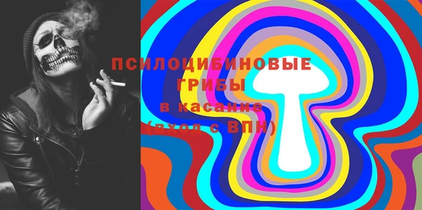 гидра Слюдянка